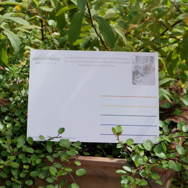 Postkarte "Heinrich und Mona - Love wins" – Bild 2