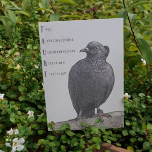 Postkarte "Rainy - Taube"