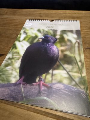 Titelbild Kalender 2026 Ellswiese (unscharfer Druck)