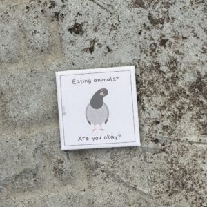 🐾 Magnetbutton "Taube - Eating animals? Are you okay?"