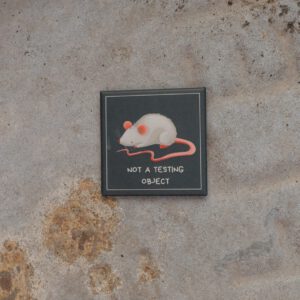 🐾 Magnetbutton "Maus - Not a testing object"